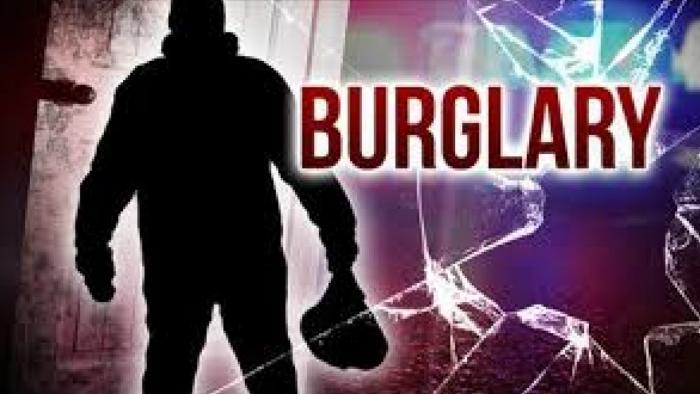 Burglars Spotted in Walnut Grove