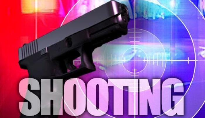 Shots in the Dark and Other Disturbances