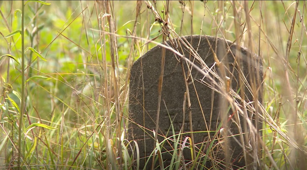 Philadelphia’s Mt. Ary Cemetery in need of major care