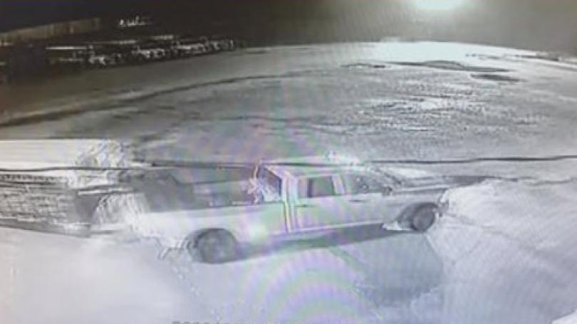 Stolen calves located, returned to Scott County