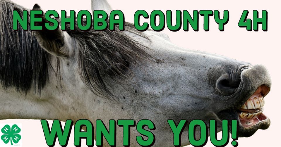 Neshoba County 4H – Horse Club Enrollment