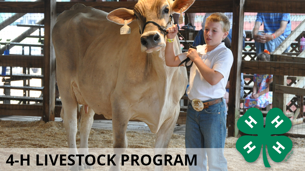 46th Annual Leake County Livestock Association Show