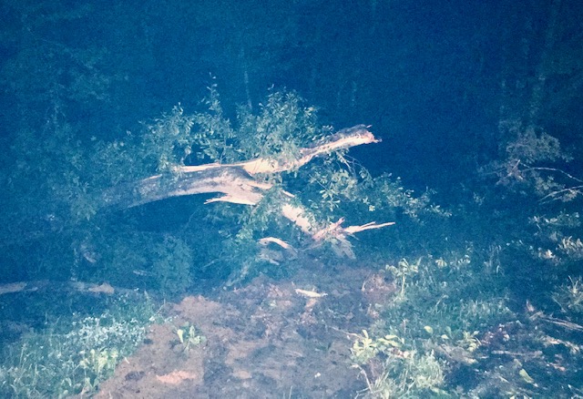 Power Outages Attala, Leake, Neshoba