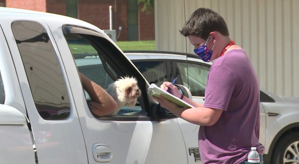 Neshoba County Animal Hospital holds free rabies clinic
