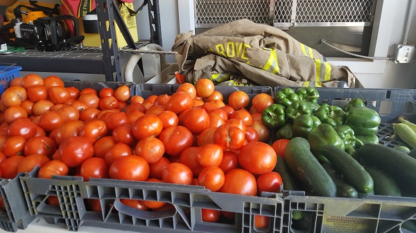 Fresh Produce at Fire Station Farmer’s Market Today!