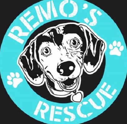 Remo’s Rescue Needs Our Help!