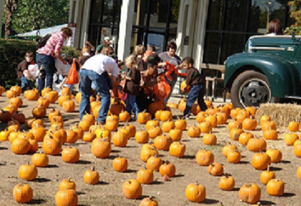 Annual Pumpkin Adventure is Coming!