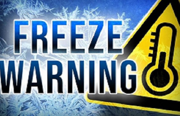 Freeze Warning In Effect Tonight and Tomorrow Morning