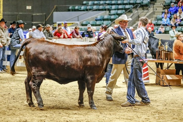 Dixie National Open Livestock Registration Extended Due to High Volume