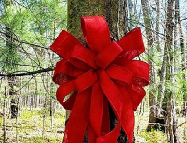 Carthage Mayor’s Youth Council Launches The Red Ribbon Campaign