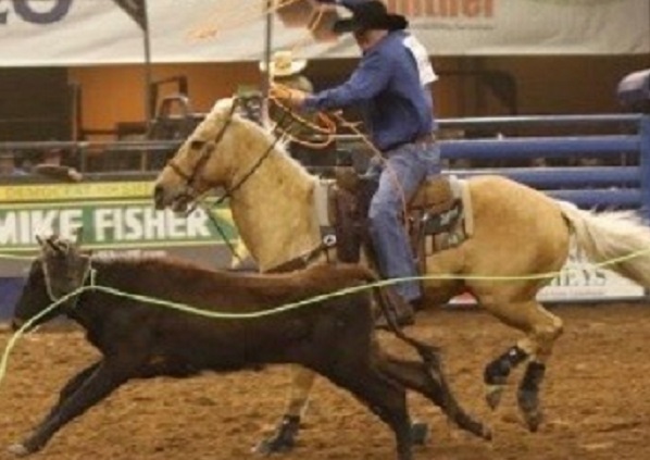 Fired-Up Team Roping This Morning At Dixie National