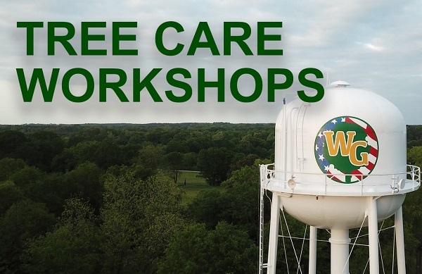 Tree Care Workshops to Be Hosted in Walnut Grove