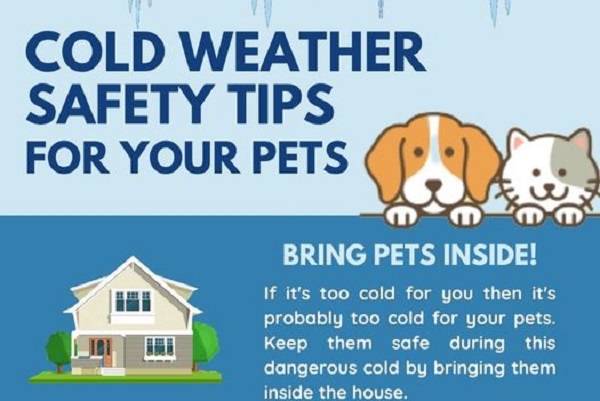 Past Time to Bring The Pets In