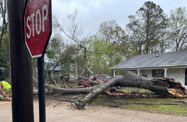 Power Outages In Philadelphia Caused by Wind Gusts and Fallen Trees