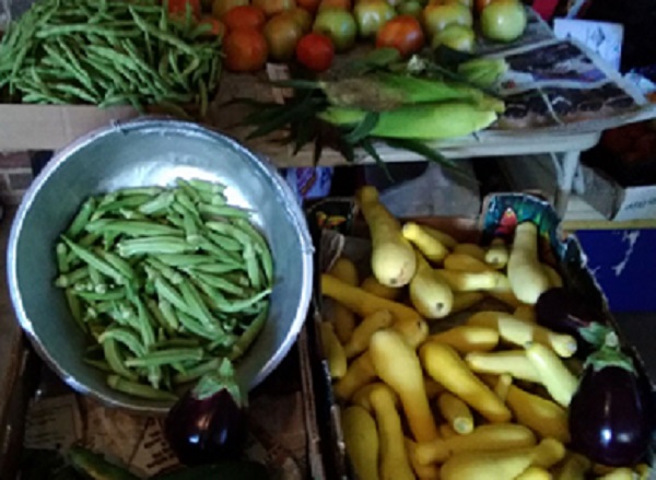 Vendor and Grower Applications Being Accepted for The City Of Carthage Farmer’s Market