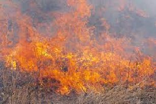 Brush Fire out of Control