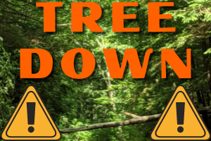 A Robbery, Accident with Injuries and Downed Trees Galore in Leake