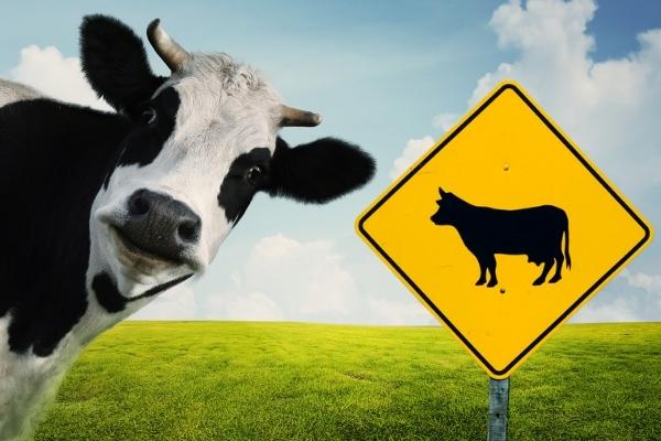 Busy Tuesday for First Responders in Leake