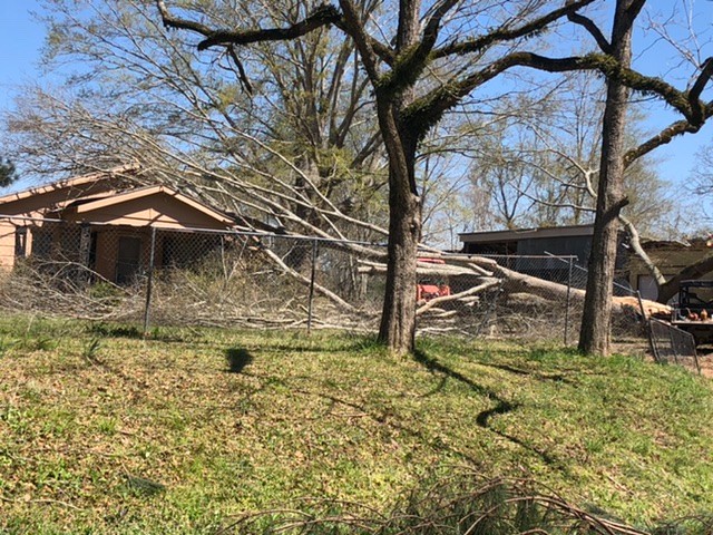 NWS To Survey Local Storm Damage Today