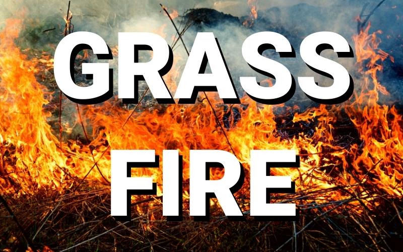 Grass Fire Out of Control Saturday Near Edinburg