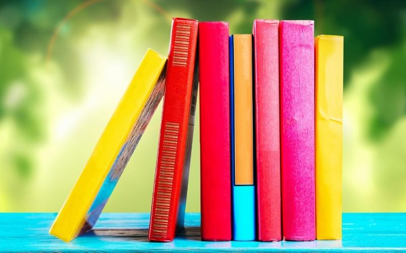 Leake County Gets Two Little Free Libraries