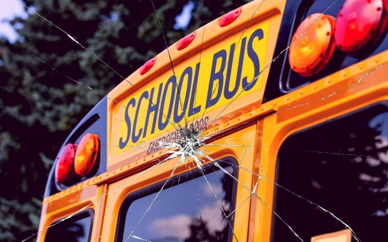 Bus Driver Hurt in Crash When Tree Falls on Hwy 35 in Singleton Area Tuesday Afternoon