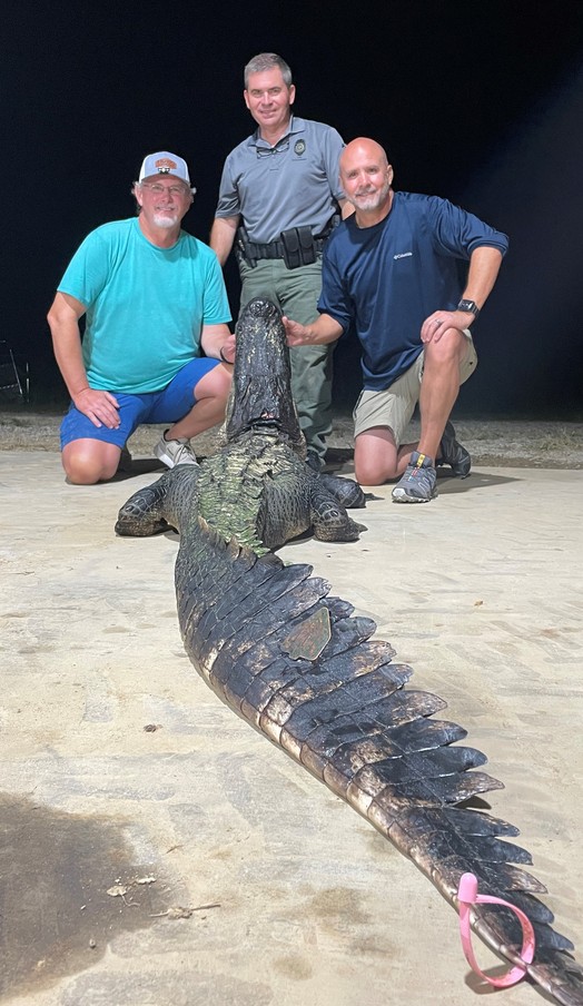 100-Year-Old Alligator in Mississippi? Maybe