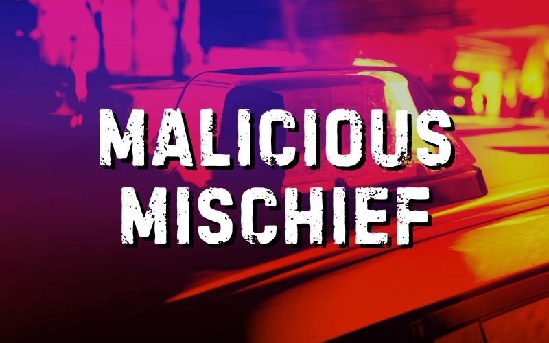 Felony Drugs, DUIs, and Malicious Mischief in Philadelphia and Neshoba Arrests