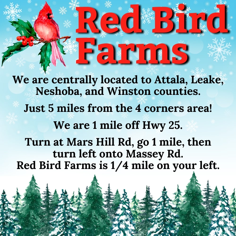 Red Bird Farms
