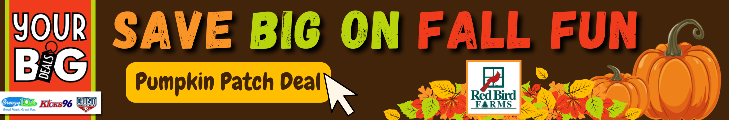 https://yourbigdeals.bigdealsmedia.net/