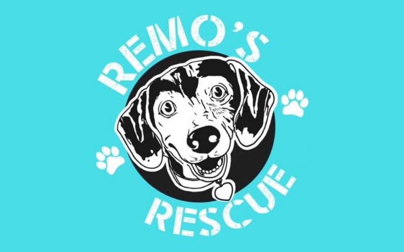 Remo’s Rescue in Desperate Need of Dog Food and Donations
