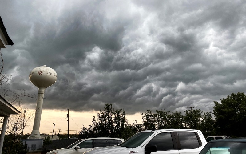 Fallen Trees and More Storm Damage in Leake