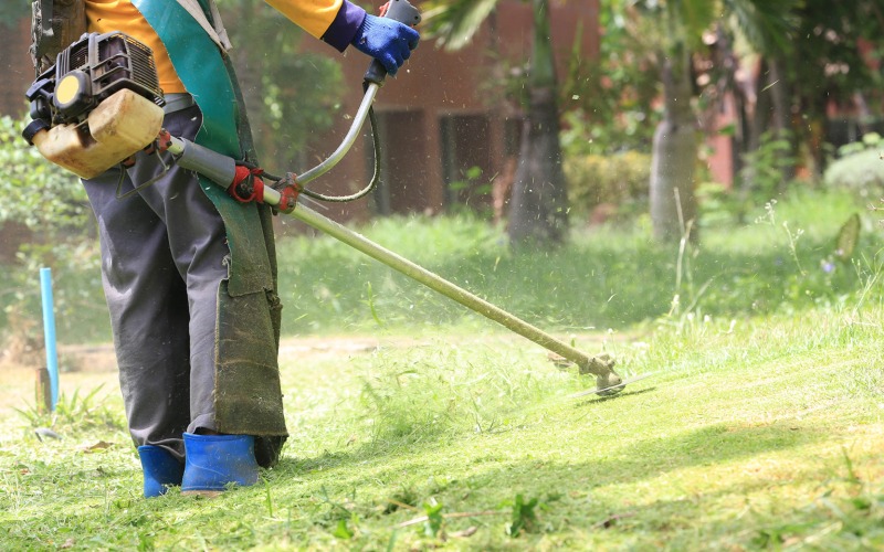 City of Carthage Accepting Bids for Lawn Grass Services