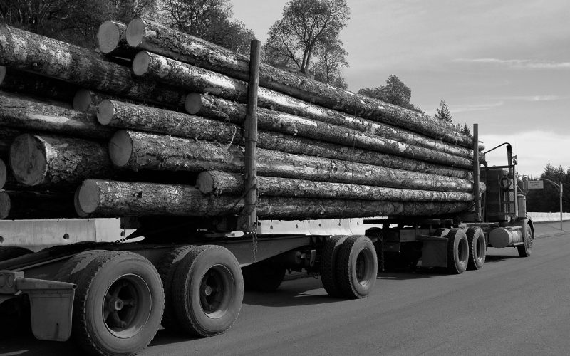 Logger trapped in cab by logs after hard brake in Philadelphia