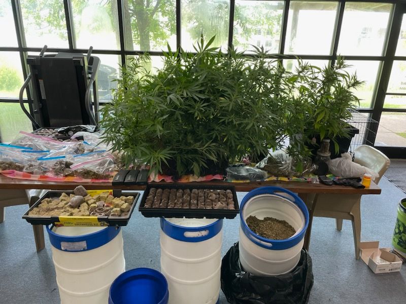 Pot Farmers Busted in Attala