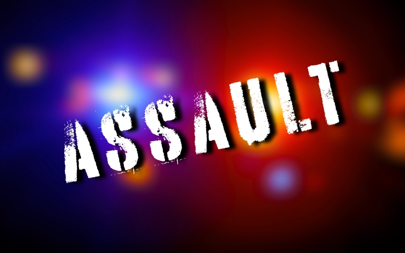 Aggravated Assault on Police and Multiple Felony False Pretenses in Philadelphia Arrests