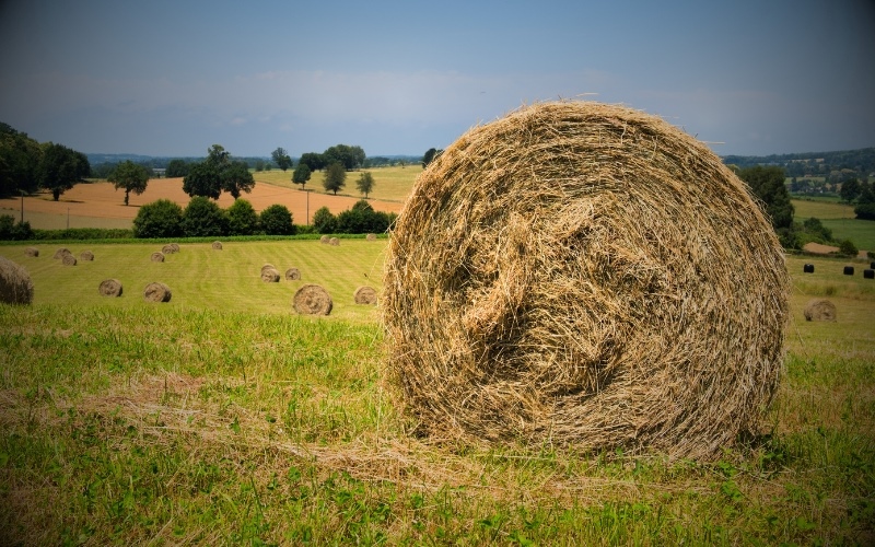 Hay bale blocking traffic, fires, and more Thursday in Leake