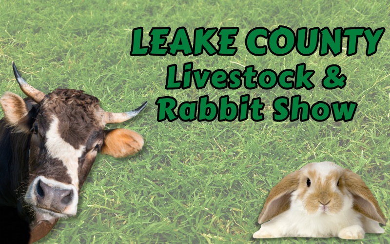 Leake County Livestock and Rabbit Show