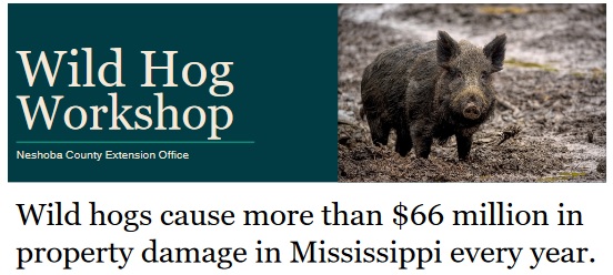 Neshoba County Extension Office to host Wild Hog Workshop
