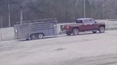 Horses Stolen South of Louisville