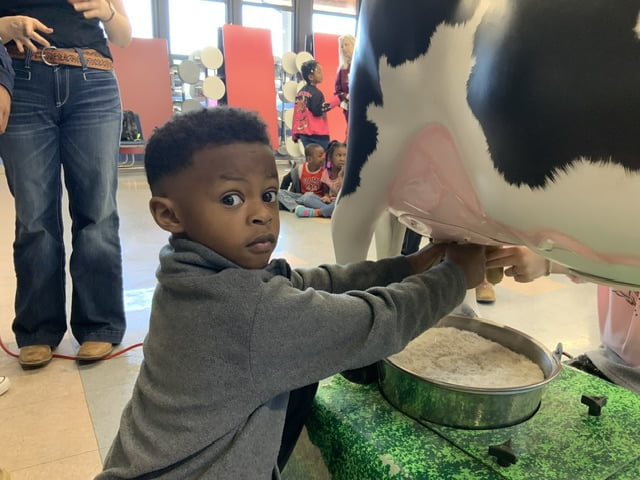 Photo gallery: FFA students hold dairy program at local elementary school