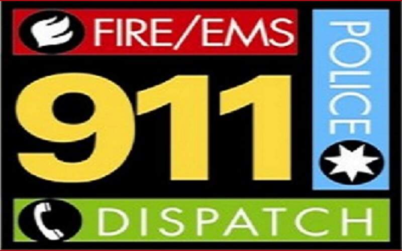 A Day of Domestic Disturbances for Deputies
