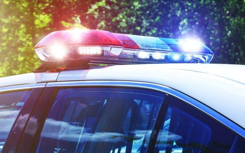 Chainsaw Disturbs the Peace, Wanted Men Caught