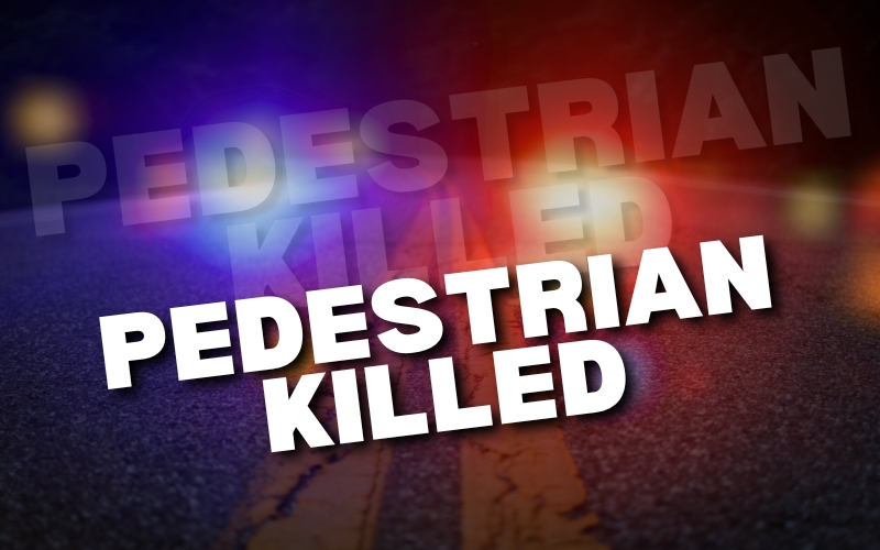 Pedestrian Struck and Killed in Neshoba County