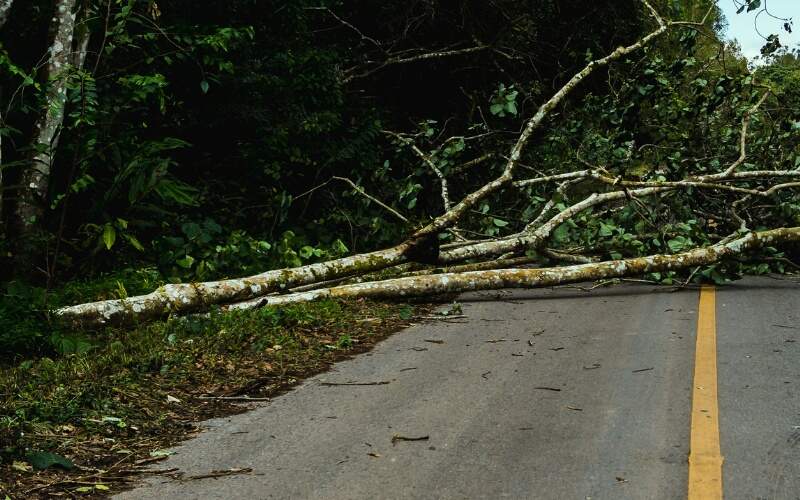 Early Morning Storm Damage, A Wreck, and More Monday in Leake