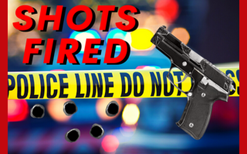 Shooting on Old Walnut Grove Road Leaves Partygoers Shaken