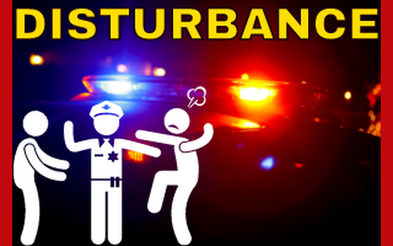 Man and Woman Fight Inside Car