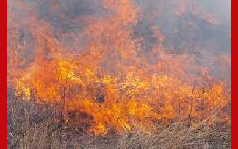 Neshoba County Fire Jumps Highway