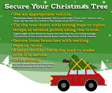 Secure Your Holiday: How to Safely Transport Your Christmas Tree
