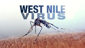 West Nile Virus Death Reported Locally